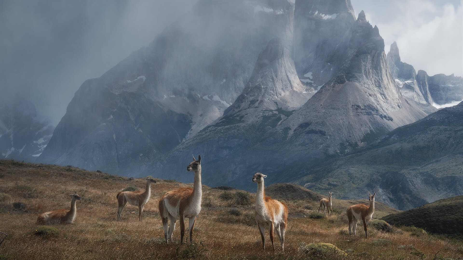 为爱而战:台球运动员的故事分享,台球体育明星