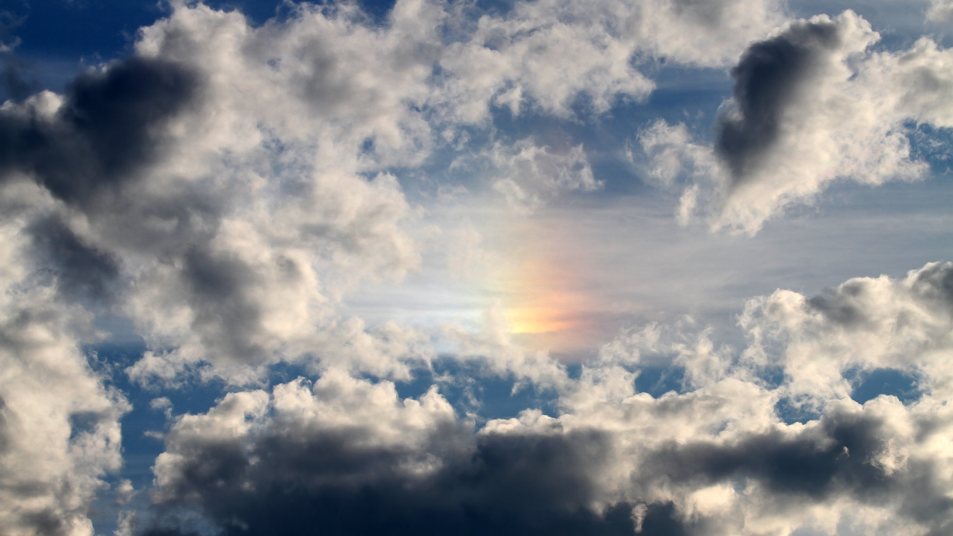 墨西哥骑手卡洛斯·汉克在巴黎奥运会上与“Porthos Maestro WH Z”马匹携手参赛，表现出色。