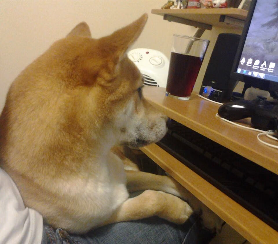 心理抗压：冠军车手的比赛心态揭秘，赛车手心理素质