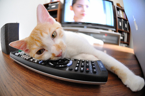 kaiyun网站-新兴极限运动：飞跃、旋转的色彩盛宴